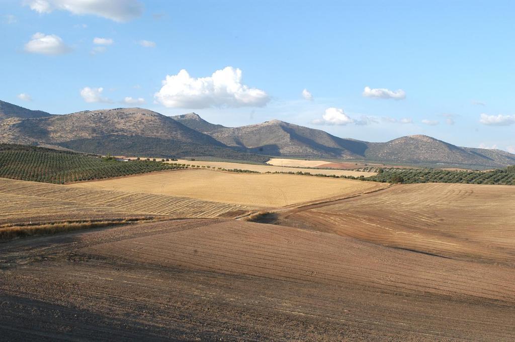 Cortijo Del Marques Hotel Albolote